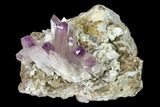 Amethyst Crystal Cluster - Las Vigas, Mexico #137003-1